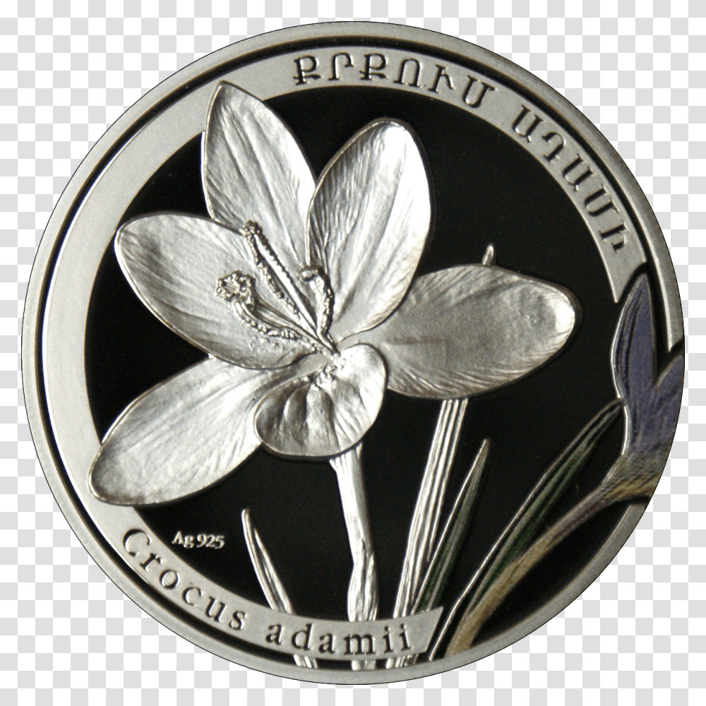 Am 1000 Dram Ag 2011 Crocus B Medical College Of Georgia Decal, Silver, Money, Coin Transparent Png