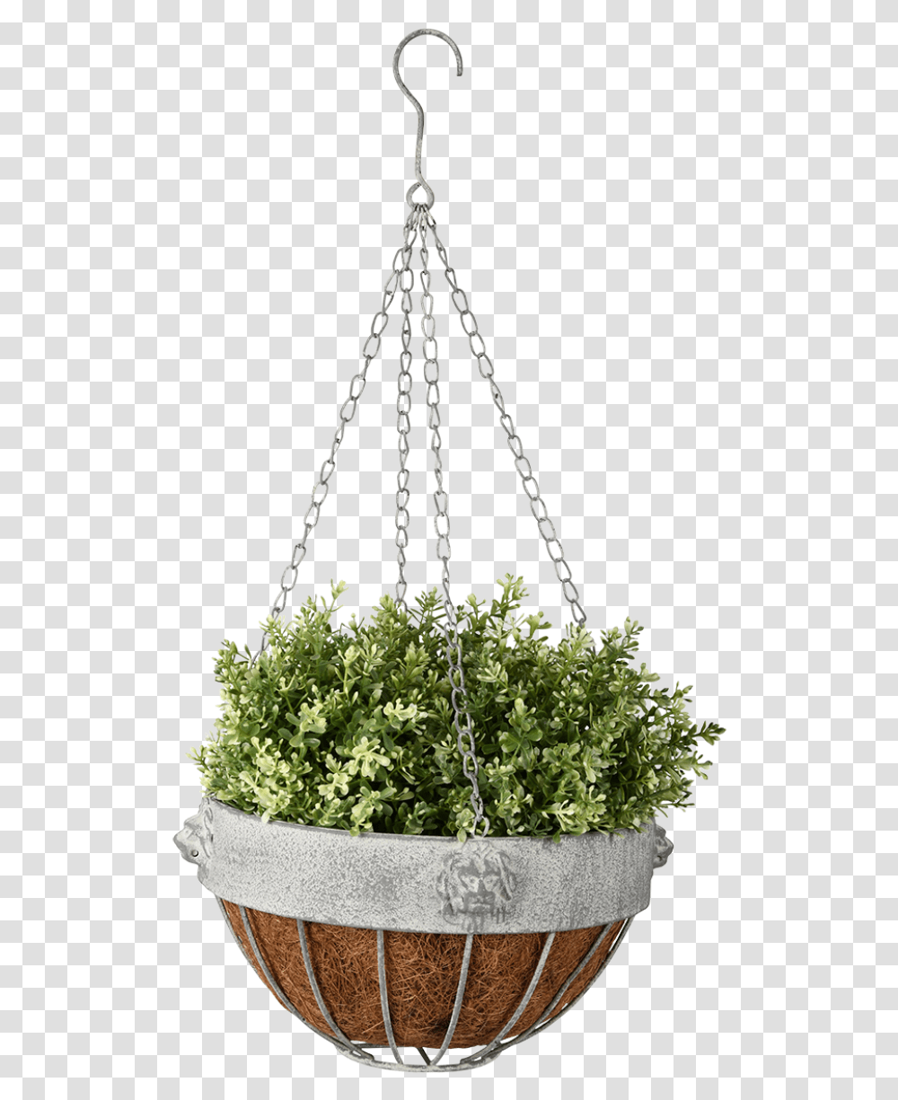 Am Lion Hanging Basket Esschert Design Outdoor Planter Aged Metal Lion Hanging, Potted Plant, Vase, Jar, Pottery Transparent Png