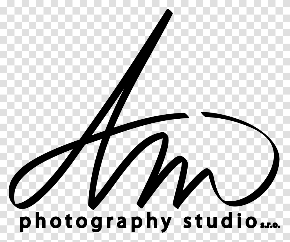 Am Photography Logo, Gray, World Of Warcraft Transparent Png