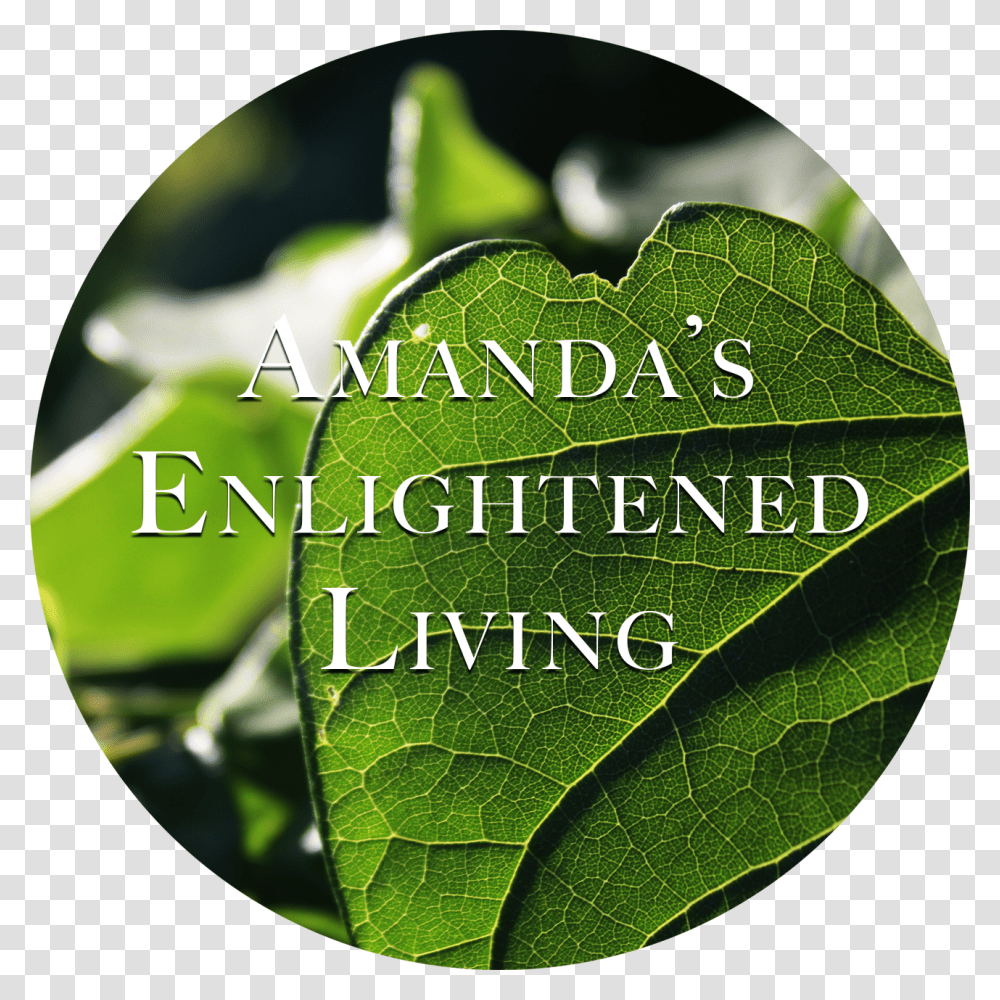 Amanda S Enlightened Living Heart, Leaf, Plant, Veins, Green Transparent Png