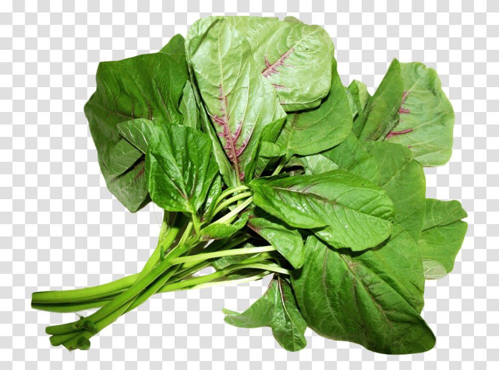 Amaranth Leaves Image Managu, Spinach, Vegetable, Plant, Food Transparent Png