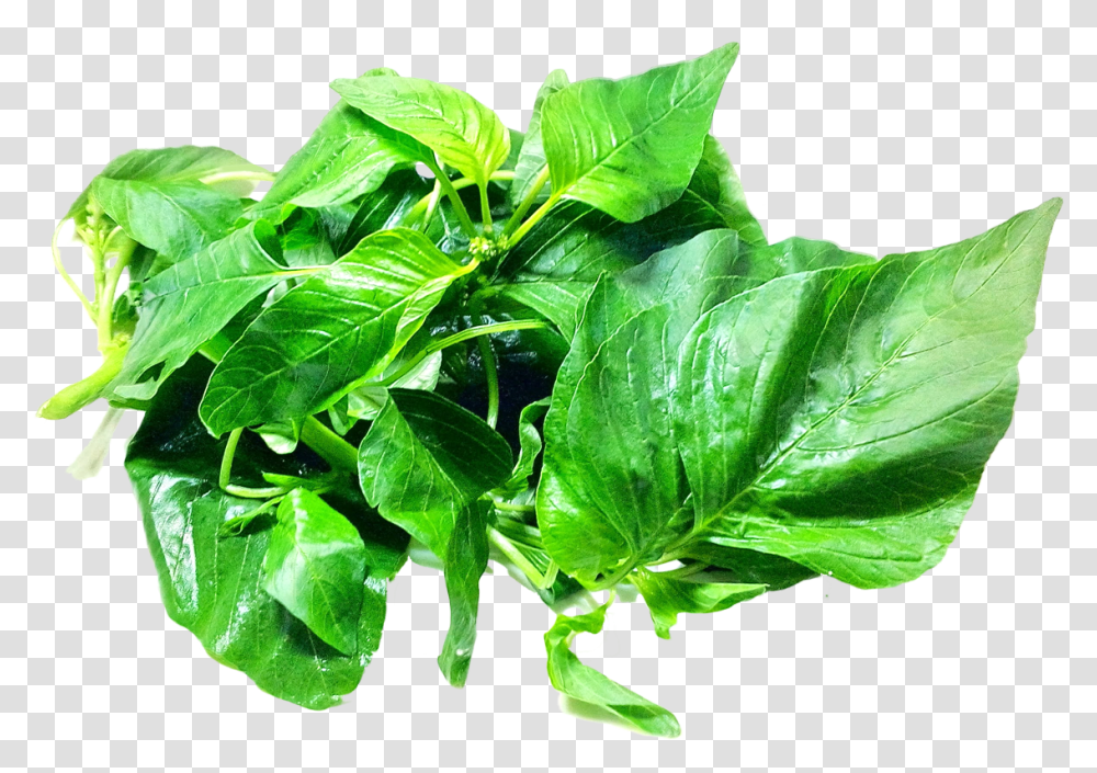 Amaranth Leaves Image, Plant, Spinach, Vegetable, Food Transparent Png