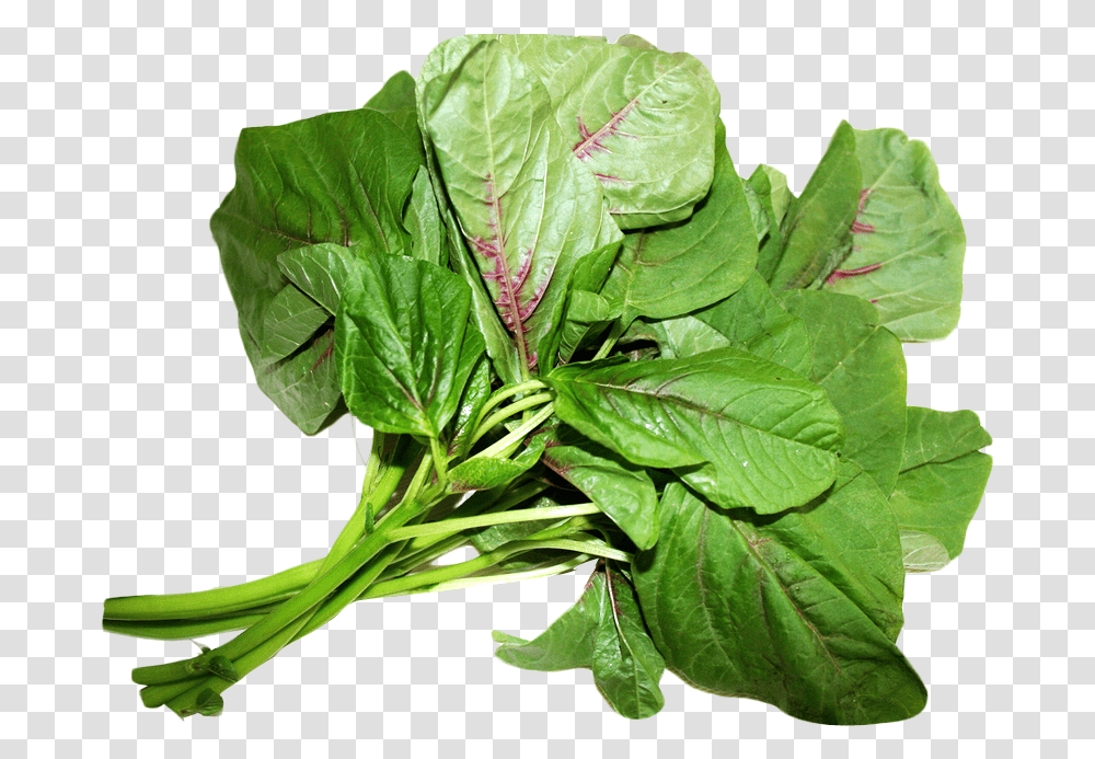 Amaranth Leaves Image, Spinach, Vegetable, Plant, Food Transparent Png