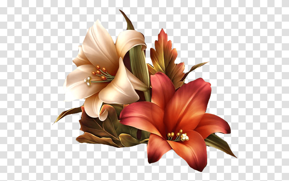 Amaryllis Drawing Christmas Flower Huge Freebie Download, Floral Design, Pattern Transparent Png