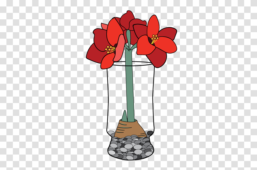 Amaryllis Faq Bloomaker, Lamp, Plant, Flower, Blossom Transparent Png
