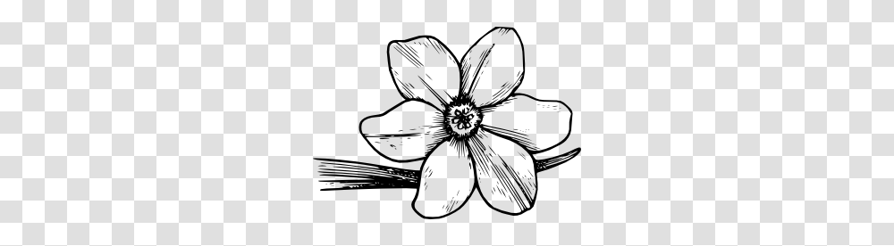 Amaryllis Flower Cliparts, Gray, World Of Warcraft Transparent Png