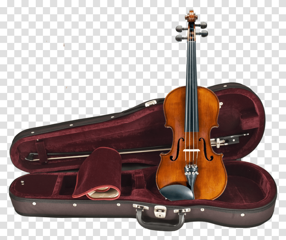 Amati Maestro Viola, Leisure Activities, Violin, Musical Instrument, Fiddle Transparent Png