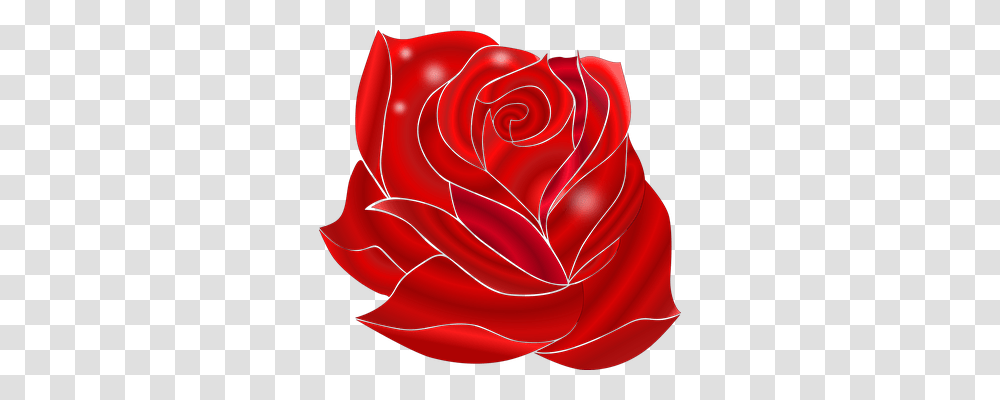 Amazing Rose, Flower, Plant, Blossom Transparent Png