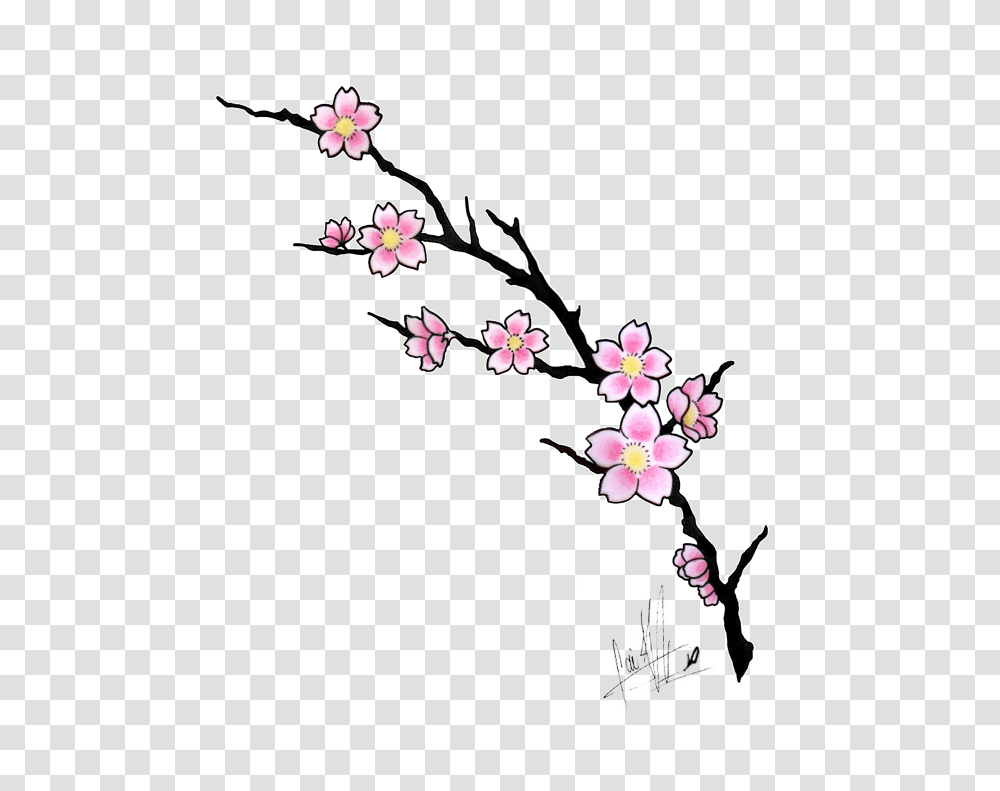Amazing Cherry Blossom Flowers Tattoo Design Tattoo, Plant Transparent Png