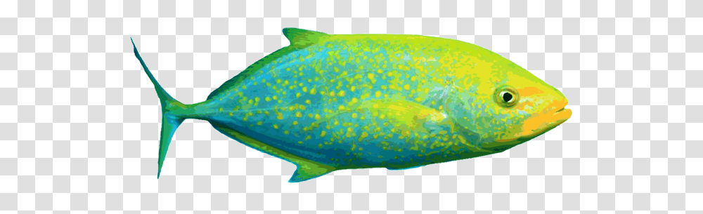 Amazing Clip Art Of Saltwater Fish Orange Spotted Jackfish, Animal, Tuna, Sea Life, Bonito Transparent Png