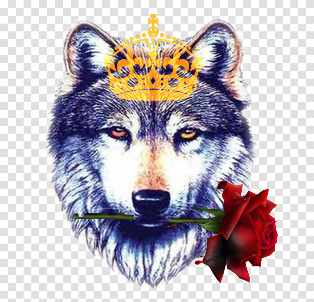 Amazing Wolf Head Tattoo Design Sample Wolf Face, Mammal, Animal, Red Wolf, Canine Transparent Png