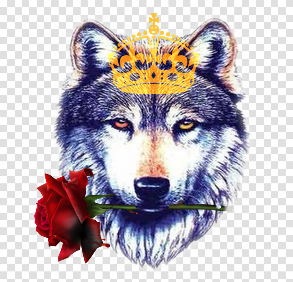 Amazing Wollf Head Tattoo Design Sample Wolf Tattoo, Mammal, Animal, Red Wolf, Canine Transparent Png