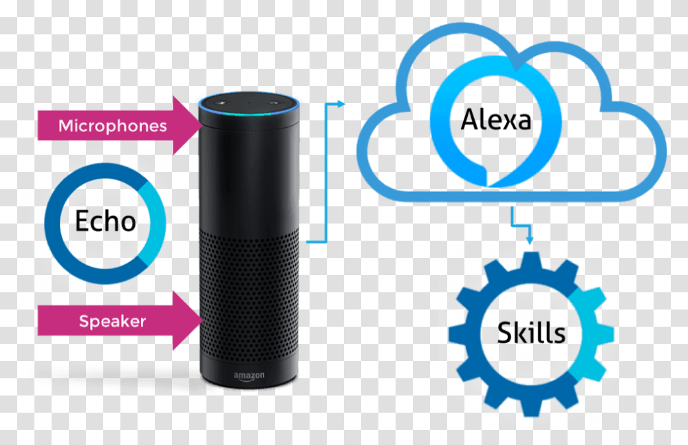 Amazon Alexa, Cylinder, Electronics Transparent Png