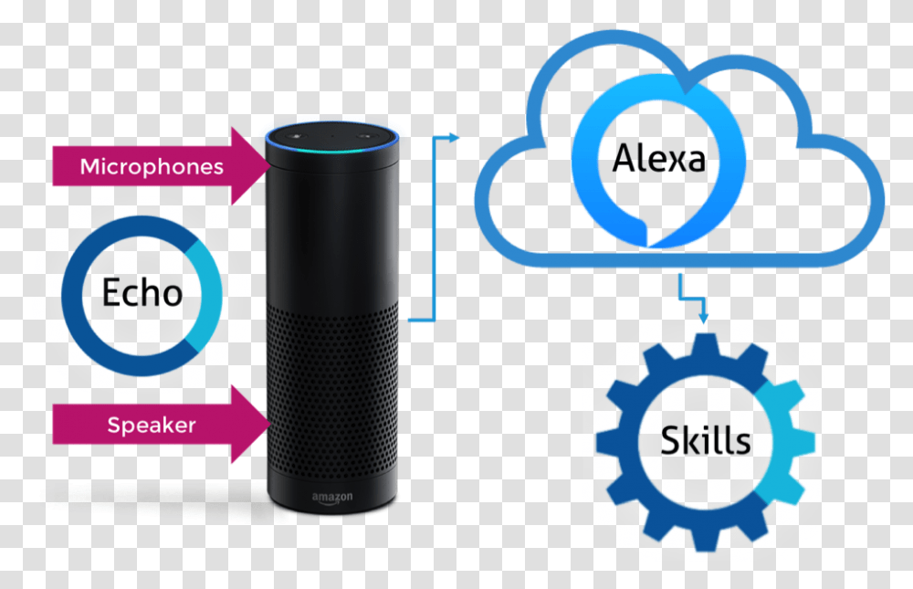 Amazon Alexa, Electronics, Cylinder Transparent Png