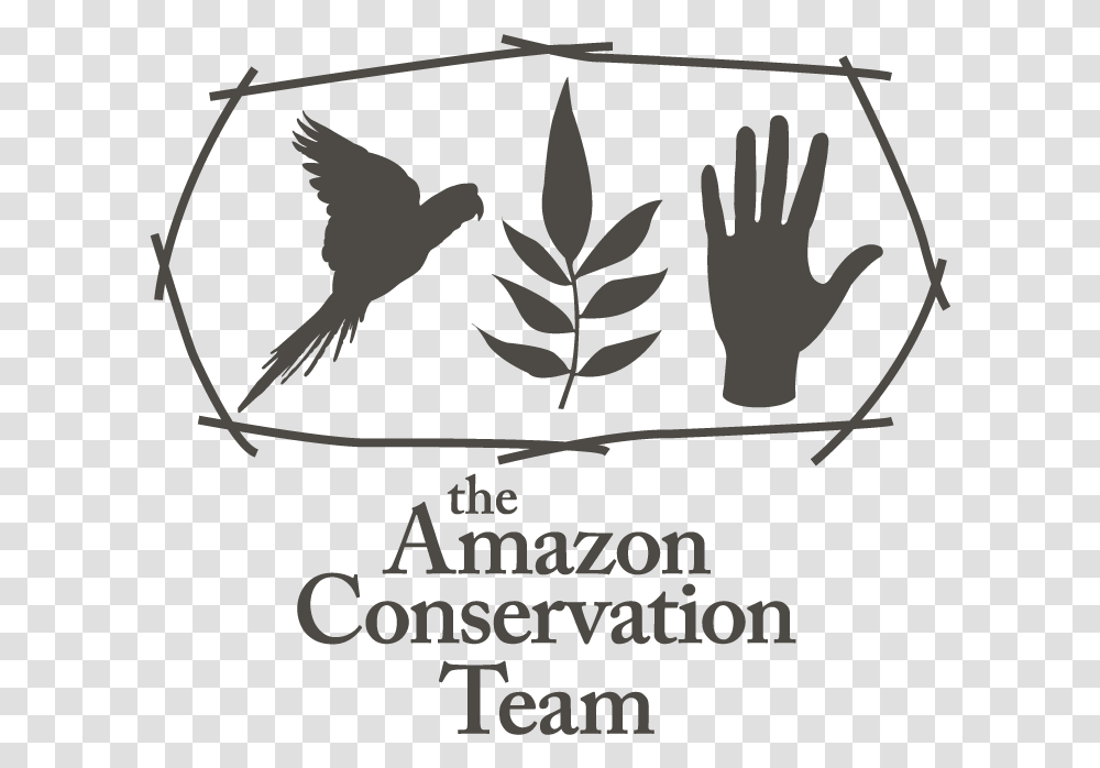Amazon Conservation Team Logo, Poster, Leaf, Plant, Bird Transparent Png