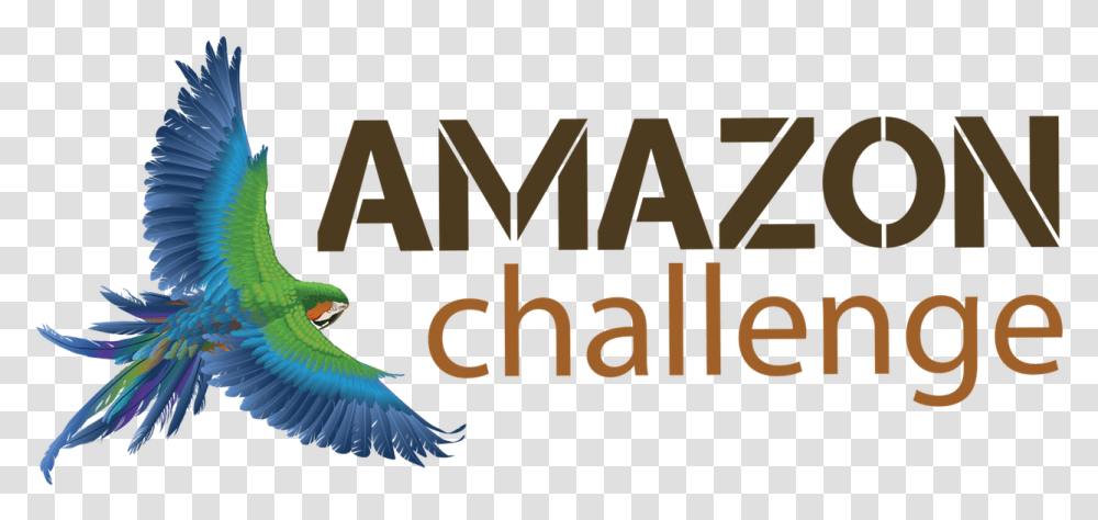Amazon Logo Black Mamba, Animal, Bird, Parrot, Macaw Transparent Png