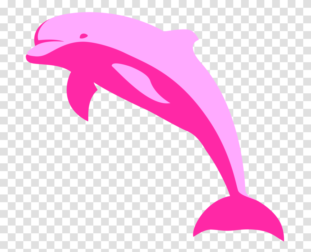 Amazon River Dolphin Porpoise Tucuxi, Mammal, Sea Life, Animal, Axe Transparent Png