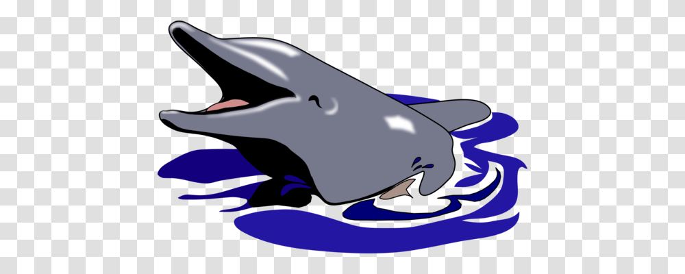 Amazon River Dolphin Porpoise Tucuxi, Sea Life, Animal, Shark, Fish Transparent Png