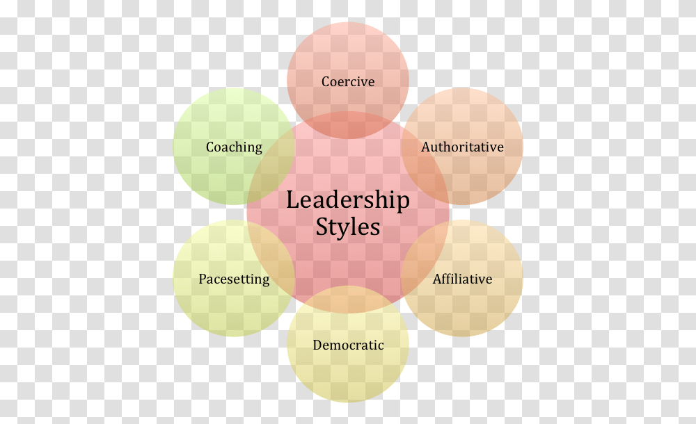 Amazon Vs Zappos Organizations And Behaviour Leadership Qualities And Styles, Diagram, Plot, Sphere Transparent Png