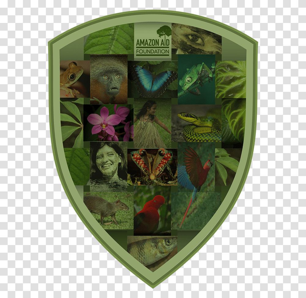 Amazon Warrior Shield Floral Design, Collage, Poster, Advertisement, Bird Transparent Png