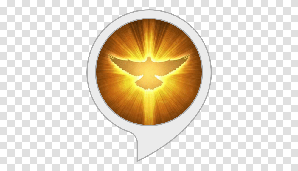Amazoncom A Catholic Novena To The Holy Spirit Alexa Skills Gold Dove Holy Spirit, Lamp, Plectrum, Symbol Transparent Png