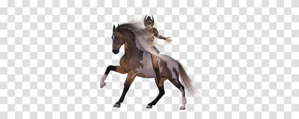 Amazone Person, Horse, Mammal, Animal Transparent Png