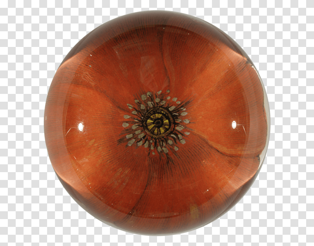 Amber, Ornament, Gemstone, Jewelry, Accessories Transparent Png