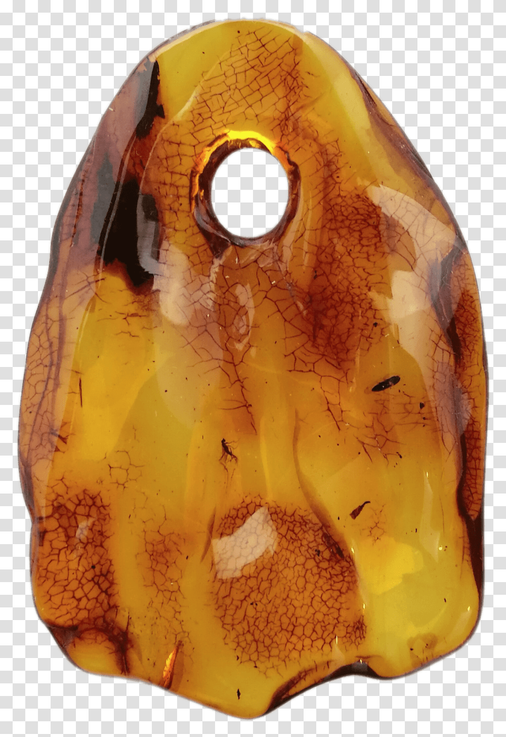 Amber Pendant With Small Insect Carved Amber Pendant, Crystal, Fossil, Plant, Gemstone Transparent Png