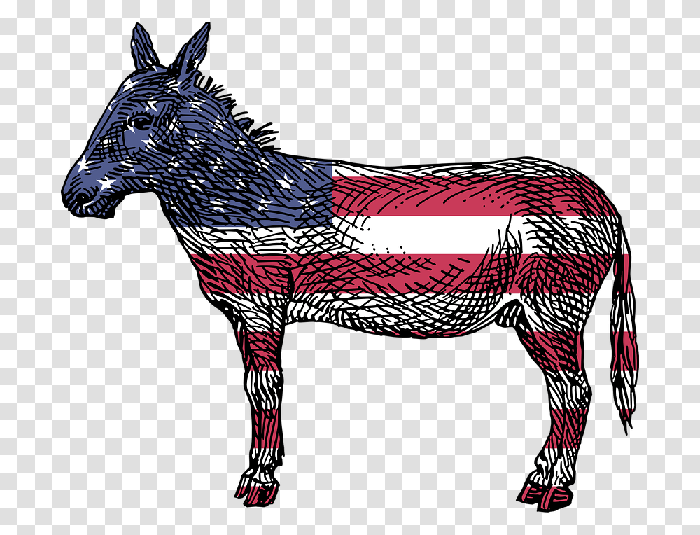 America Democrats Ass Democratic Donkey Flag American Donkey, Bird, Animal, Mammal, Furniture Transparent Png