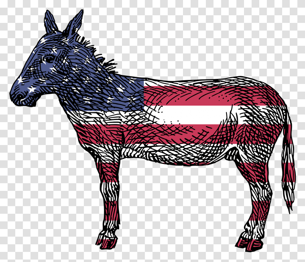 America Democrats Ass Democratic Donkey Flag Reasons To Vote For Democrats Book, Bird, Animal, Mammal, Horse Transparent Png
