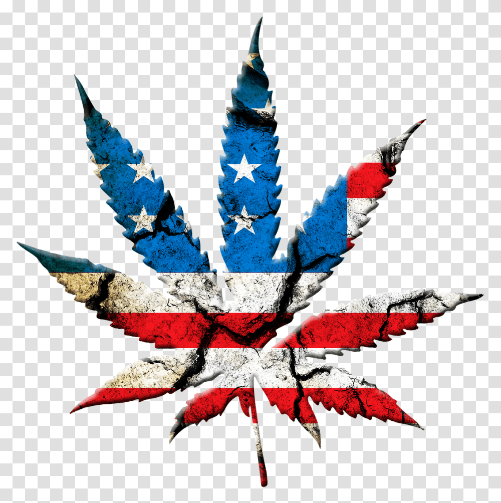 America Marijuana, Leaf, Plant, Maple Leaf, Weed Transparent Png