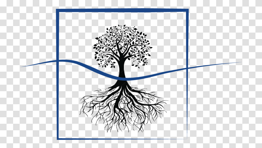 America Outline, Plant, Tree, Root, Pine Transparent Png