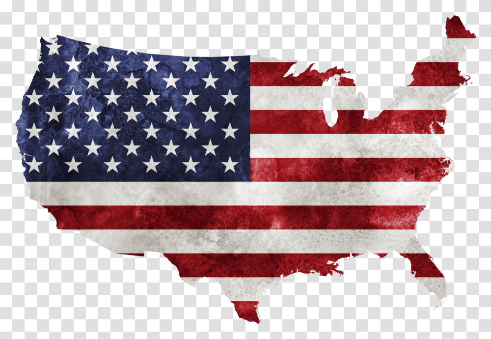 America Primary Election Usa Flag, American Flag, Person, Human Transparent Png
