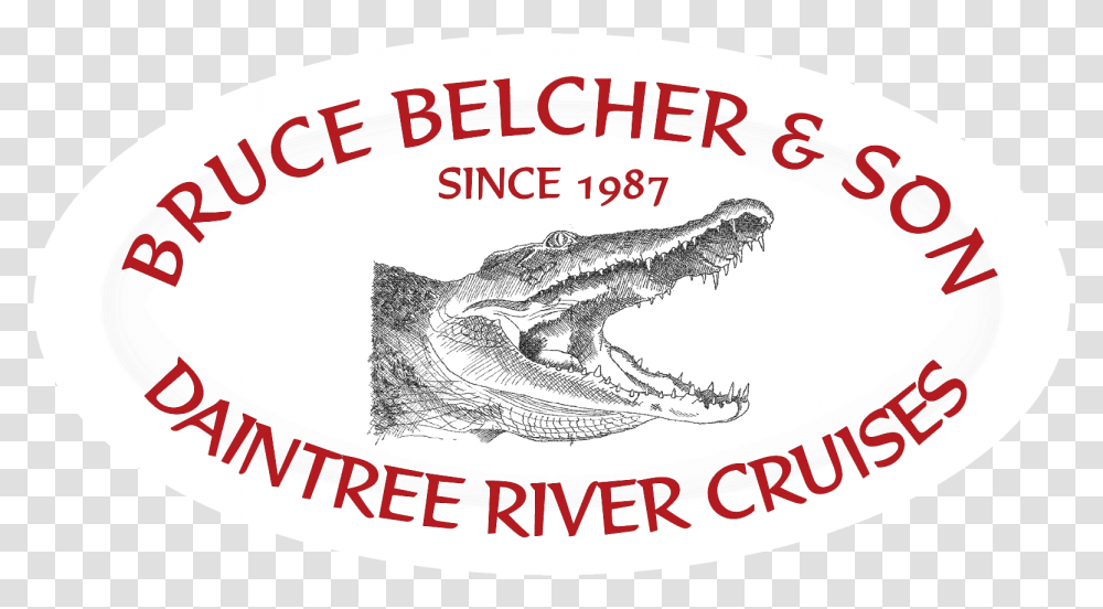 American Alligator, Crocodile, Reptile, Animal Transparent Png