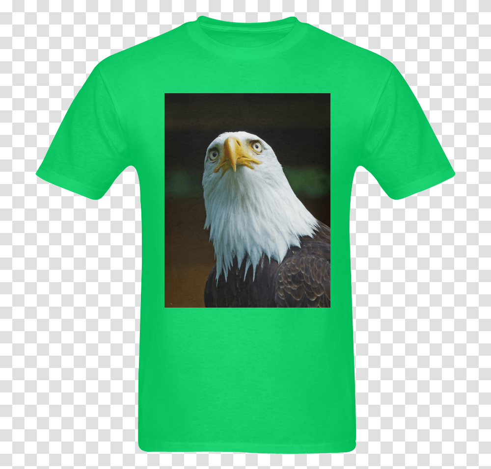 American Bald Eagle Head 001 03 Sunny Men's T Shirt Bald Eagle, Apparel, Bird, Animal Transparent Png