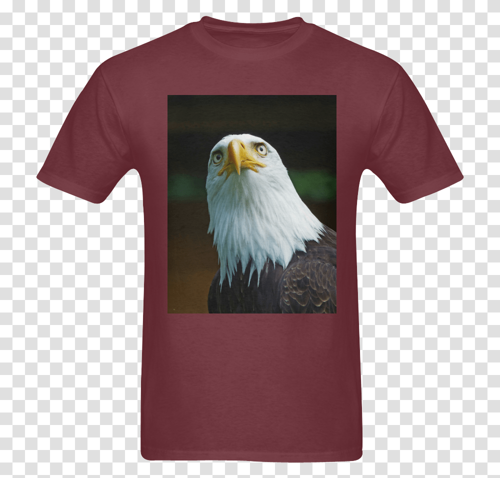 American Bald Eagle Head 001 10 Sunny Men's T Shirt T Shirt, Apparel, Chicken, Poultry Transparent Png