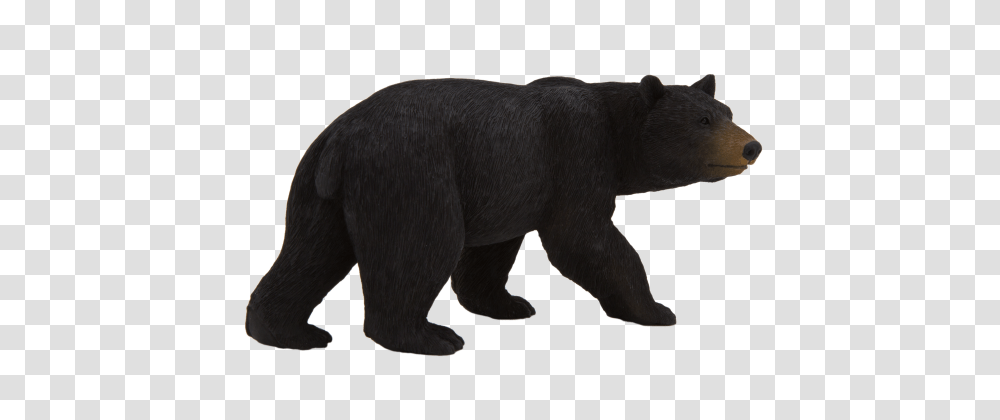 American Black Bear, Mammal, Animal, Wildlife, Elephant Transparent Png