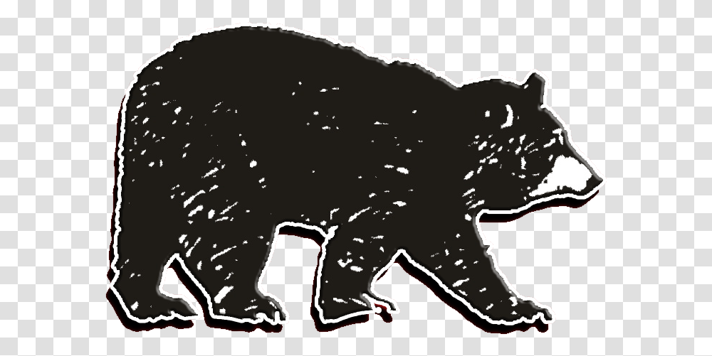American Black Bear, Mammal, Animal, Wildlife, Panther Transparent Png