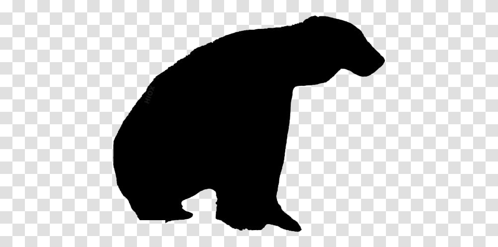 American Black Bear, Silhouette, Animal, Mammal, Photography Transparent Png