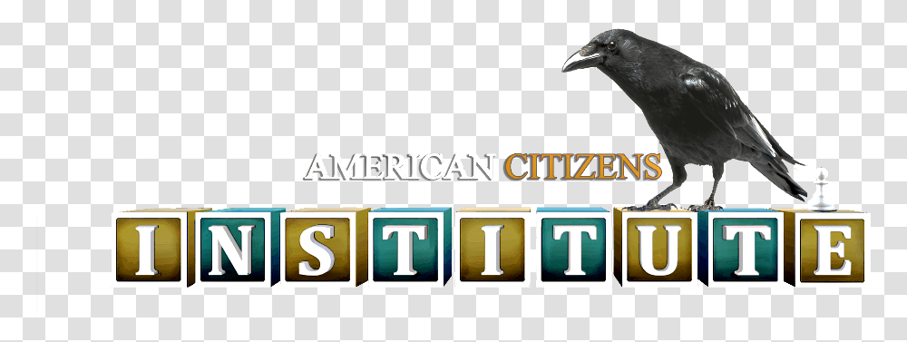 American Citizens Institute Logo American Crow, Bird, Animal, Number Transparent Png