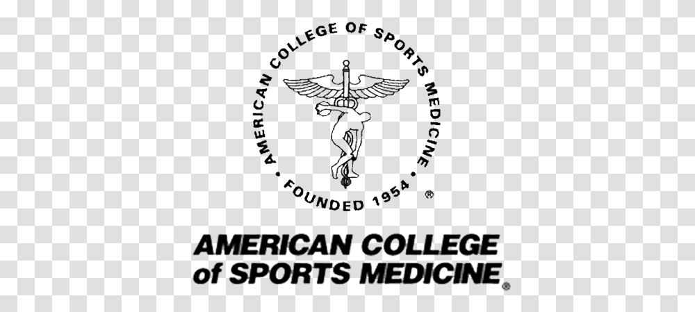 American College Of Sports Medicine, Gray, World Of Warcraft Transparent Png
