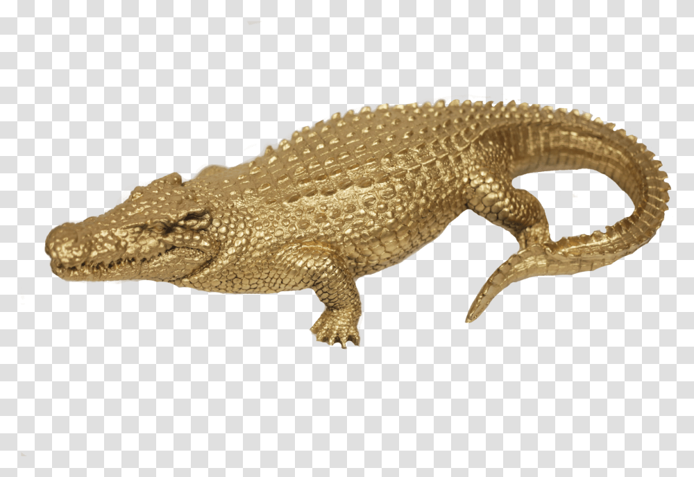 American Crocodile, Lizard, Reptile, Animal, Gecko Transparent Png