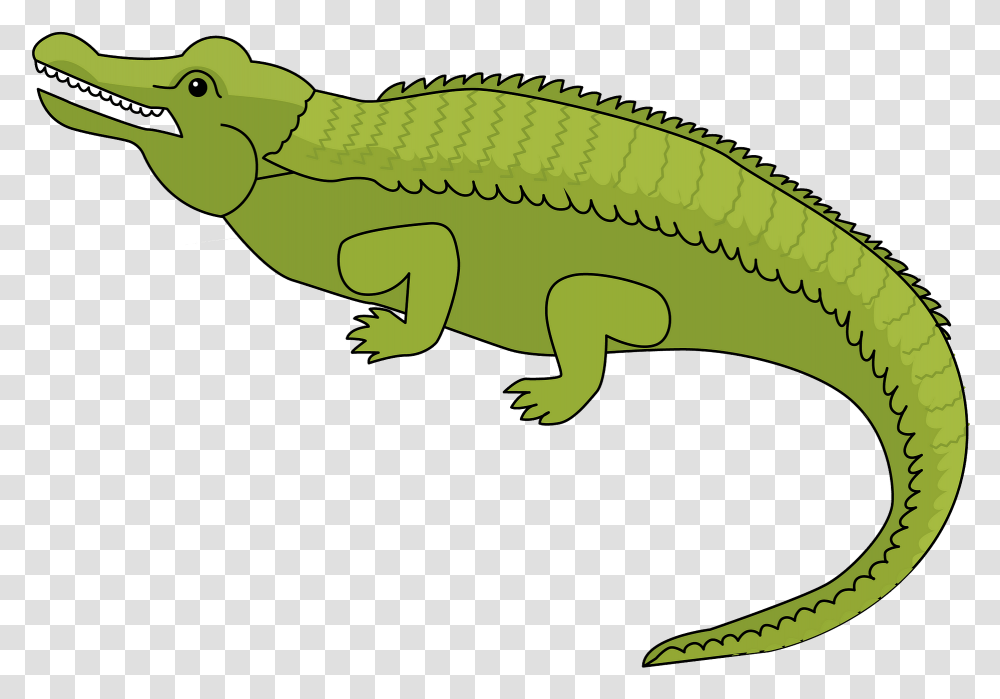 American Crocodile, Reptile, Animal, Alligator, Lizard Transparent Png