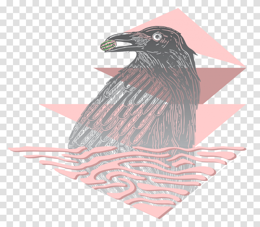 American Crow, Bird, Animal Transparent Png