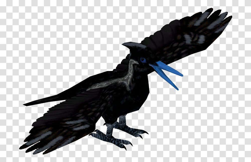 American Crow, Bird, Animal, Vulture, Blackbird Transparent Png