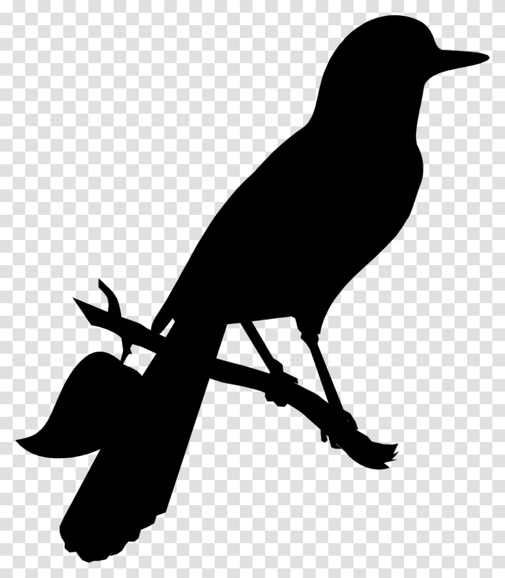 American Crow Clip Art Advertising Fauna Silhouette Raven, Gray, World Of Warcraft Transparent Png
