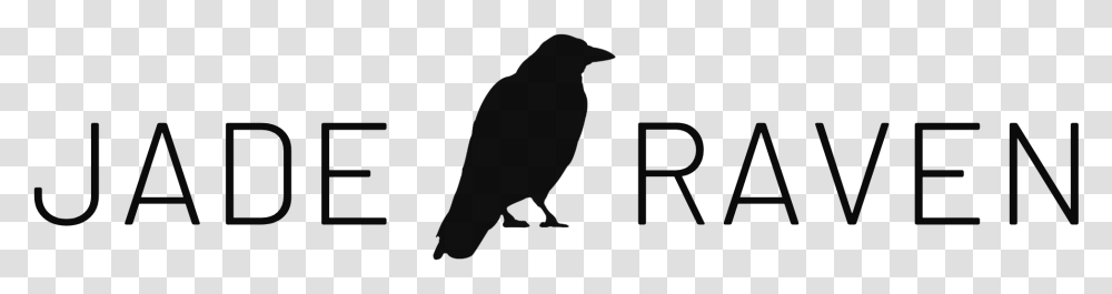 American Crow, Silhouette, Bird, Animal, Blackbird Transparent Png