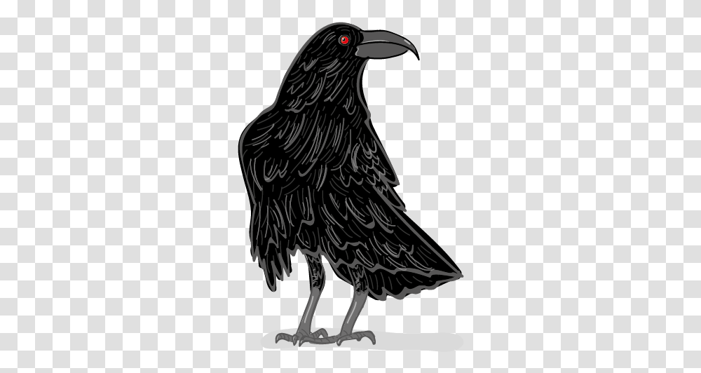 American Crow, Tree, Plant Transparent Png