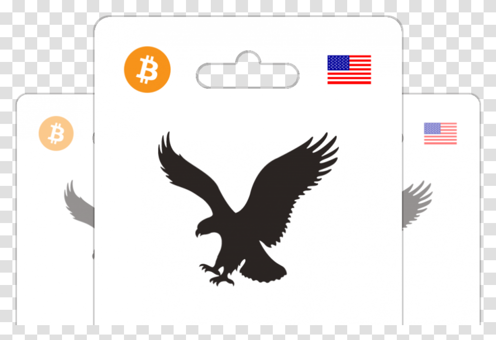 American Eagle American Eagle Outfitters Vector, Flying, Bird, Animal, Chicken Transparent Png