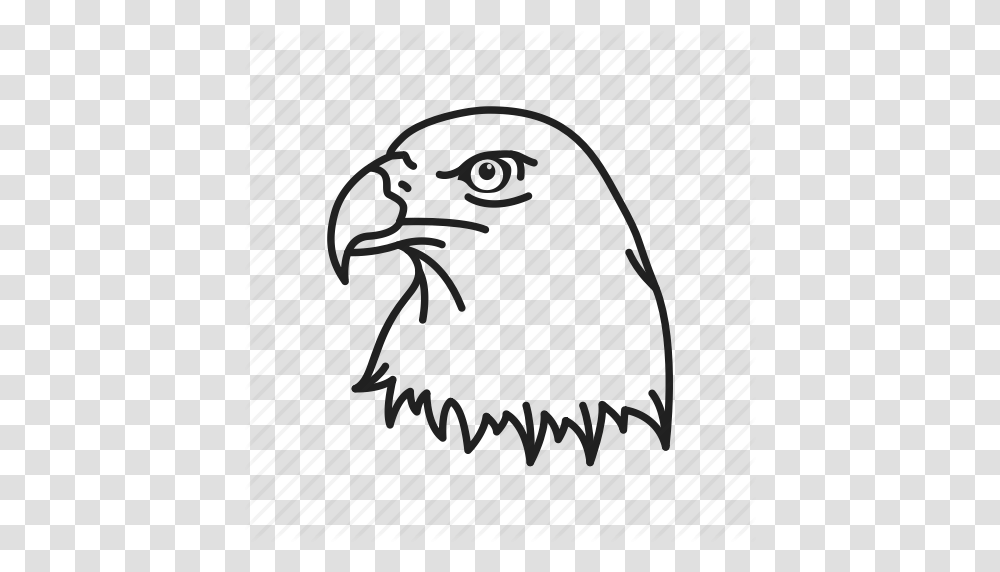 American Eagle Bald Eagle Bird Eagle Eagle Head Independence, Outdoors, Plan, Plot Transparent Png